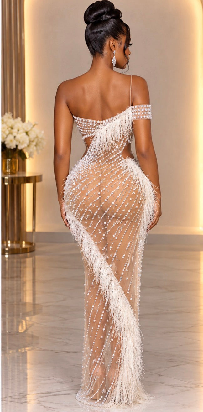 The Aura Pearl Mesh One Shoulder Evening Dress
