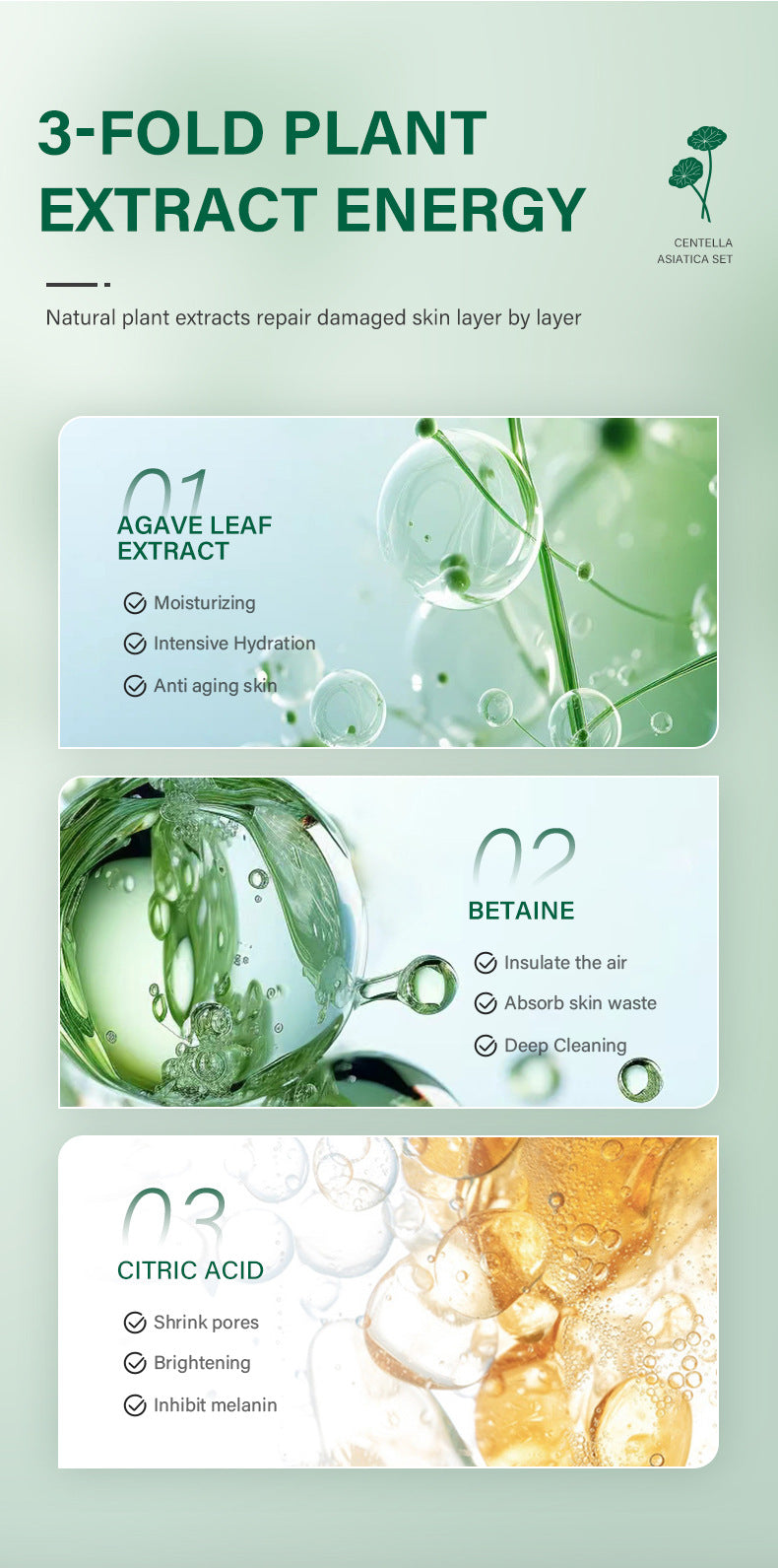 Centella Asiatica Complete Care Kit